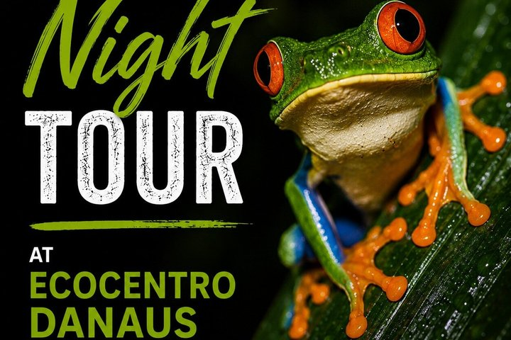 La Fortuna Night Tour - Private - Photo 1 of 25